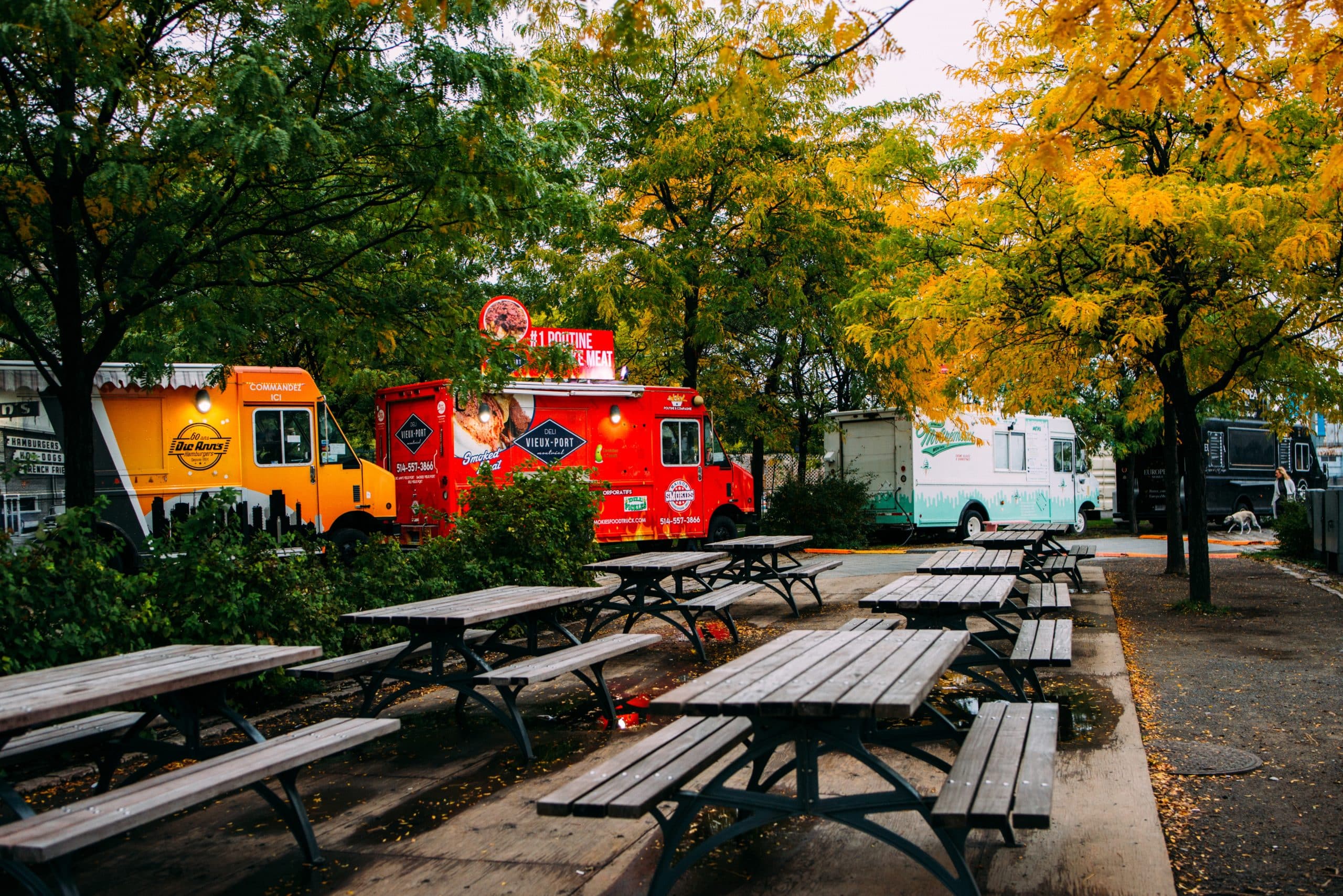 table and benches in a park